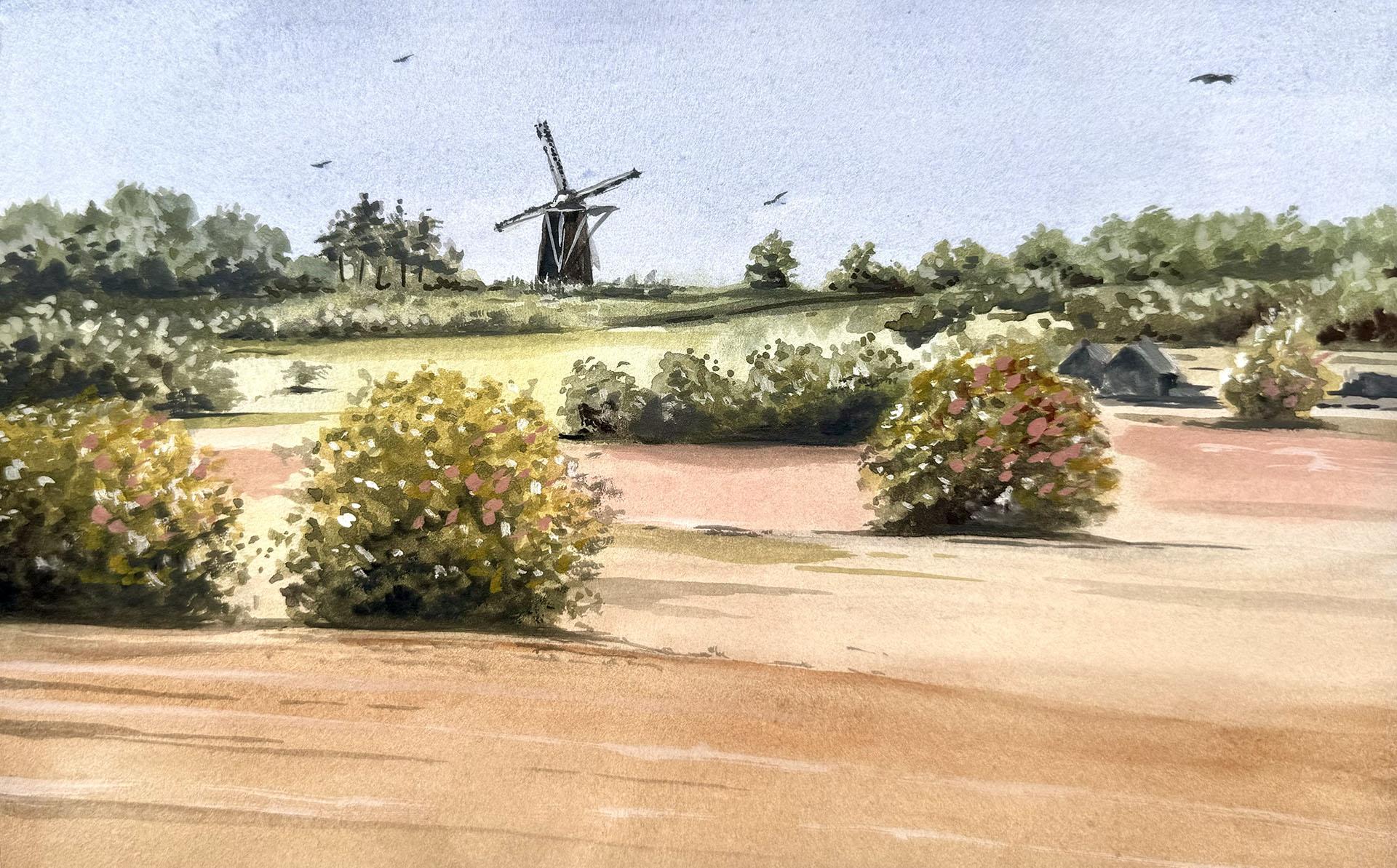 Watercolor - Windmill Op de Vrouweheide on a sunny hillside with coloring bushes in the foreground, Ubachsberg, Limburg